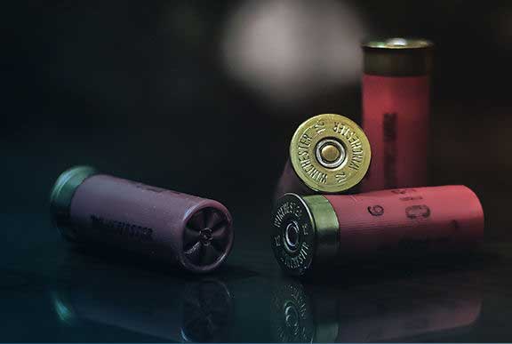Firearms