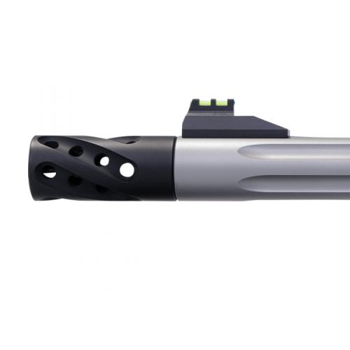 Smith & Wesson Performance Center SW22 VICTORY