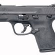 Smith & Wesson M&P9 SHIELD M2.0