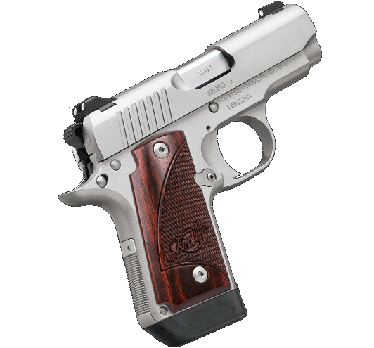 Kimber Micro 9 Stainless