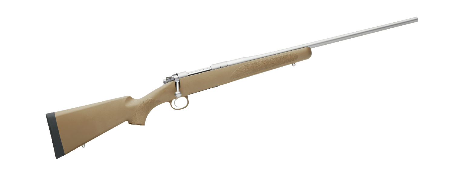 Kimber Hunter FDE Stainless