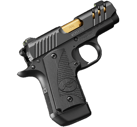 Kimber Micro 9 ESV Black