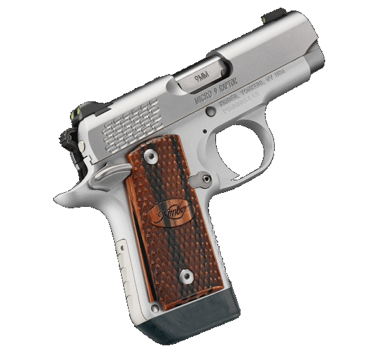 Kimber Micro 9 Stainless Raptor